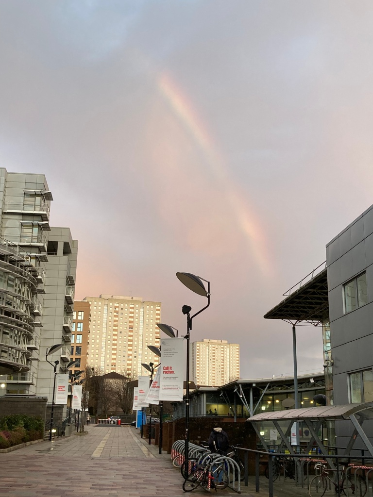 University in Rainbow